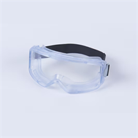 GoggleGear Korgglasögon i 3000-serien