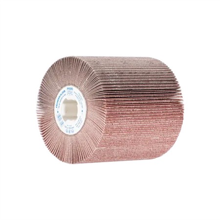 LAMELLSLIPVALSAR FR-W 100100 A 120